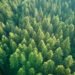 Partners Group evergreen fund hits €2bn