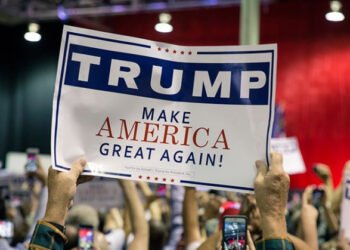 Trevor Greetham: Shock, panic and rebound in the markets