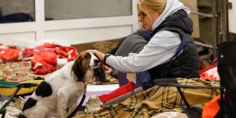 Ukraine F-16 pilot killed while repelling large-scale Russian air attack on Ukraine, Ukrainian authorities say
