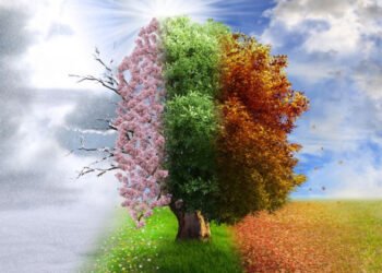 Advisers expect clients to change investment strategy due to volatility