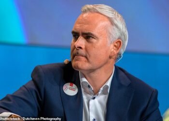 Challenge: B&M, led by new boss Tjeerd Jegen (pictured), said sales of sales of its fast-moving consumer goods fell over the 13 weeks to June 28