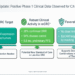 CytomX Q2 2025 presentation slides: CX-2051 shows promising Phase 1 results in CRC