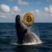 Dormant Bitcoin whale activates after 14 years and moves 60,000 BTC