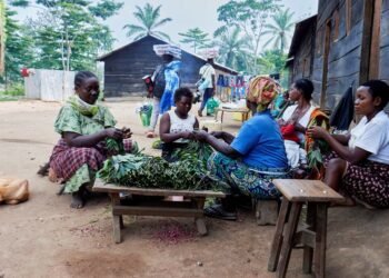 Exclusive-USAID cancelled rape survivor kits for Congo as conflict erupted