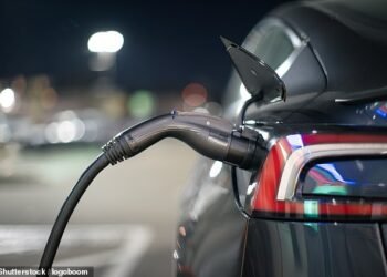 The Government has reintroduced grants to slash the price of some new electric cars as part of its efforts to accelerate sales before the end of the decade