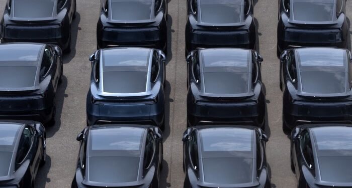 Tesla shares sink after Elon Musk says he will launch new US political party