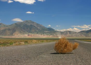 Muted UK deal activity