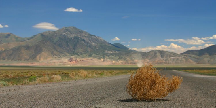 Muted UK deal activity