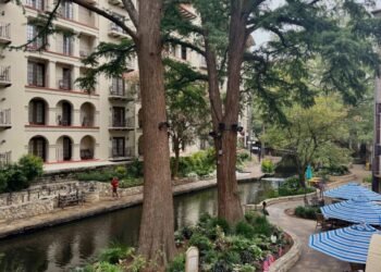 City, Nature, Outdoors