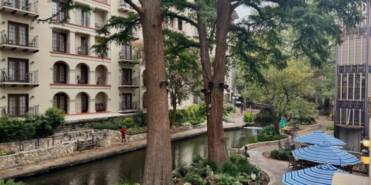 City, Nature, Outdoors