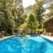 10 Best Airbnbs in Tallahassee for the Ultimate College Town Weekend