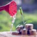 Insurers can boost income and reduce correlation risk by investing in business development companies