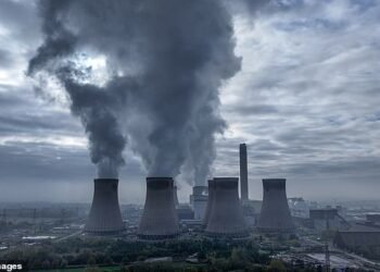 Drax has received billions of pounds of government funding in recent years for its Selby, North Yorkshire plant