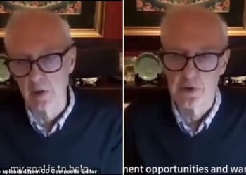 Deceit: Sophisticated new technology allows scammers to generate fake video and audio of a real person speaking, such as the one of Anthony Bolton (above)