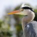 Heron Finance adds Antares fund