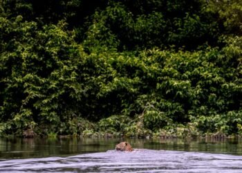 Condé Nast Traveler