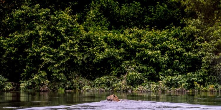 Condé Nast Traveler