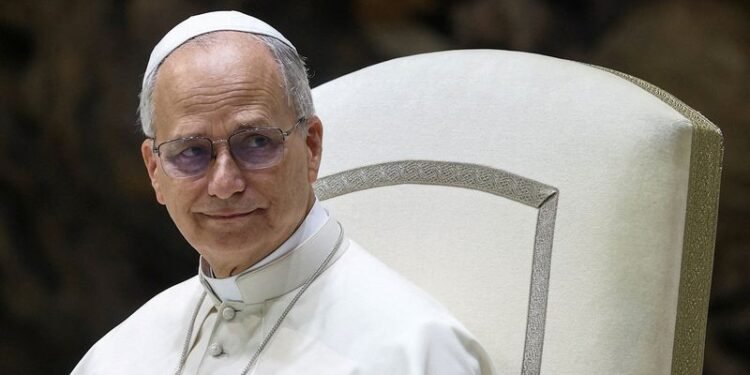 Pope Leo pleads for end to 'pandemic of arms' after Minnesota shooting