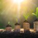 Private capital - including private credit - is increasingly becoming a "key player" in the UK financial services market.