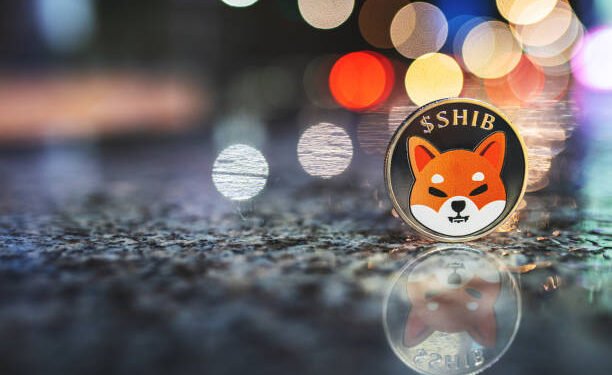 Shiba Inu