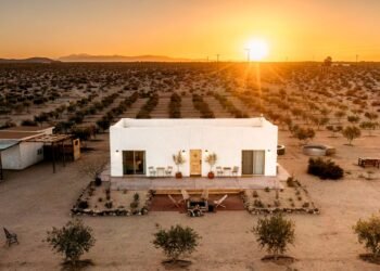 The Best Farm Stays on Airbnb, From Cattle Ranches to Olive Groves