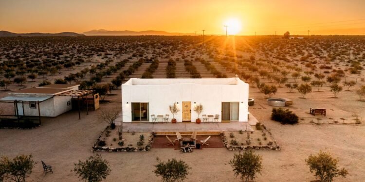 The Best Farm Stays on Airbnb, From Cattle Ranches to Olive Groves