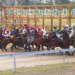 Racehorses and jockeys jumping from the barriers starting gates for a race at Ferguson Park racecourse in Gladstone, Queensland, Australia