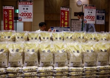 Trump demand for Japan to buy more US rice snagged trade talks, Nikkei says