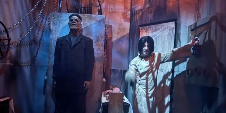 Adult, Male, Man