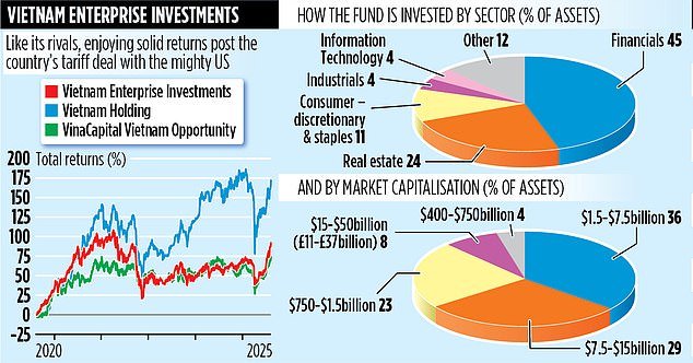 VIETNAM ENTERPRISE INVESTMENTS: Growth push could see strong returns for Footsie trusts