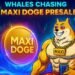 Maxi Doge Presale Gains Steam: Whale Drops $32K in a Single Transaction