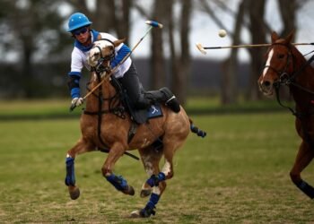 World's first gene-edited horses are shaking up the genteel sport of polo