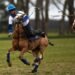World's first gene-edited horses are shaking up the genteel sport of polo