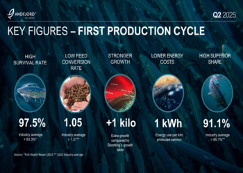 Andfjord Salmon Q2 2025 slides: NOK 1.15B raised as smolt release approaches