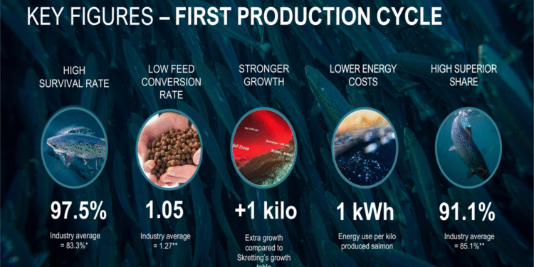 Andfjord Salmon Q2 2025 slides: NOK 1.15B raised as smolt release approaches