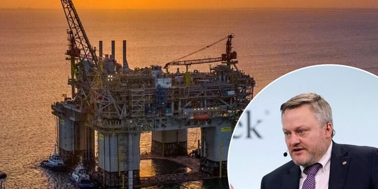 BP will move ahead with a $5billion offshore drilling project as the energy giant continues to re-embrace fossil fuels under chief executive Murray Auchincloss . The group told shareholders on Monday the Tiber-Guadalupe project in the US Gulf of Mexico will have the capacity to produce 80,000 barrels of oil per day when it begins production in 2030.
