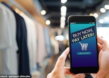 BNPL schemes, such as Klarna, Clearpay and PayPal's Pay in 3, allow shoppers to delay payment or spread the cost in interest-free instalments