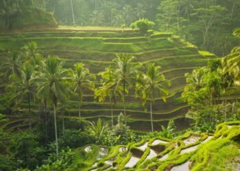 Condé Nast Traveler