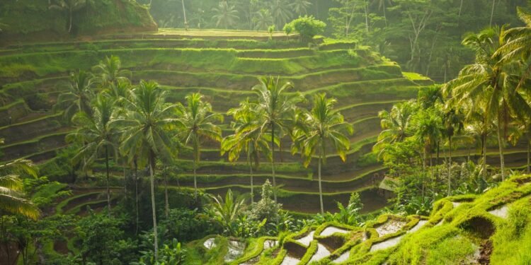 Condé Nast Traveler