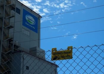 Fonterra shares hit seven-year peak on record total dividend, strong unit profits