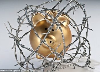 Sylvia has spotted a rise in the number of accounts that masquerade as easy-access accounts but only let you take money out a few times a year