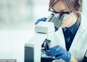 How to profit from backing Britain: These growing UK businesses will put patriotic pride in your investment portfolio