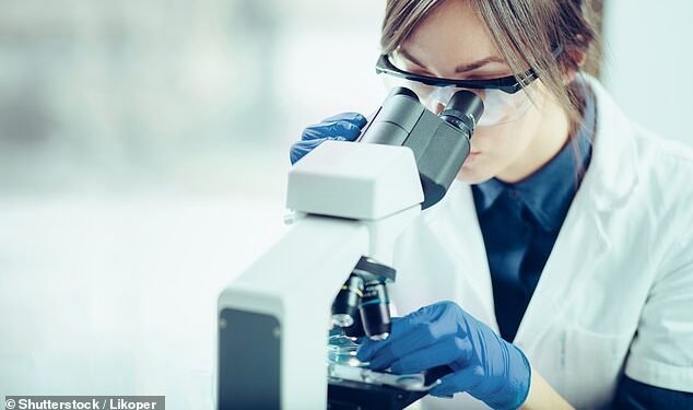 How to profit from backing Britain: These growing UK businesses will put patriotic pride in your investment portfolio