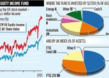 JOHCM UK EQUITY INCOME FUND waves flag for UK's cheap dividend stars