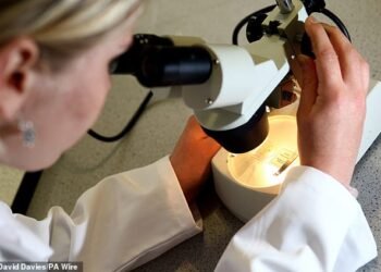 Pressure: President Donald Trump’s tariff threats on pharma and the focus on drug pricing in the US has forced a tilt toward North America