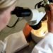 Pressure: President Donald Trump’s tariff threats on pharma and the focus on drug pricing in the US has forced a tilt toward North America