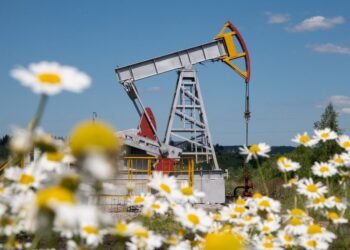 Oil prices fall as demand concerns overshadow buoyancy on US rate cut