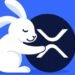 Rabby Wallet integrates XRPL EVM chain with Peersyst
