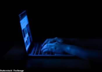 One scam message seen by This is Money offered a ‘guaranteed’ income of £8,000 per month for just an hour’s work per day.