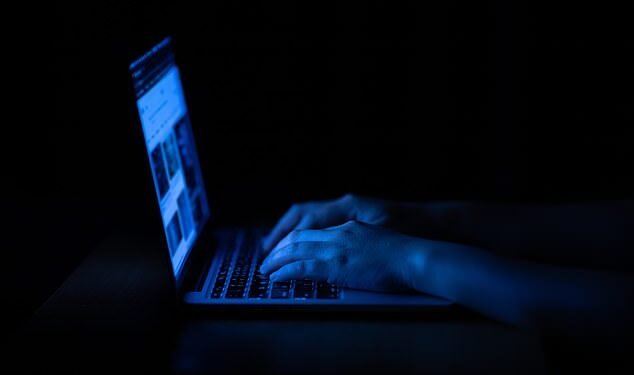One scam message seen by This is Money offered a ‘guaranteed’ income of £8,000 per month for just an hour’s work per day.